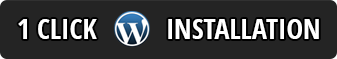 Outstanding-Quality WordPress Web Hosting Services